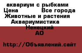 аквариум с рыбками › Цена ­ 1 000 - Все города Животные и растения » Аквариумистика   . Ненецкий АО